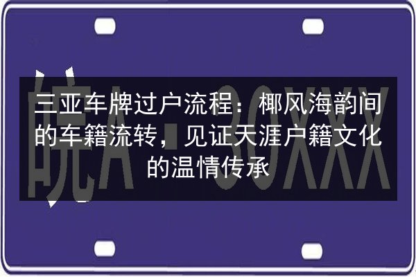 三亚车牌过户流程：椰风海韵间的车籍流转，见证天涯户籍文化的温情传承