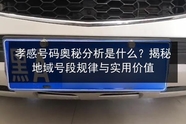 孝感号码奥秘分析是什么？揭秘地域号段规律与实用价值 第2张