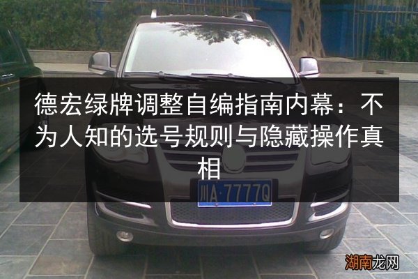 德宏绿牌调整自编指南内幕：不为人知的选号规则与隐藏操作真相 第2张
