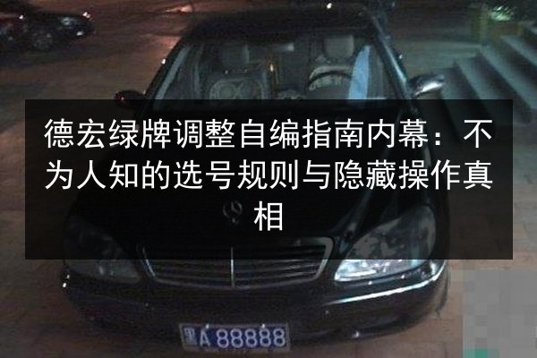 德宏绿牌调整自编指南内幕：不为人知的选号规则与隐藏操作真相 第3张
