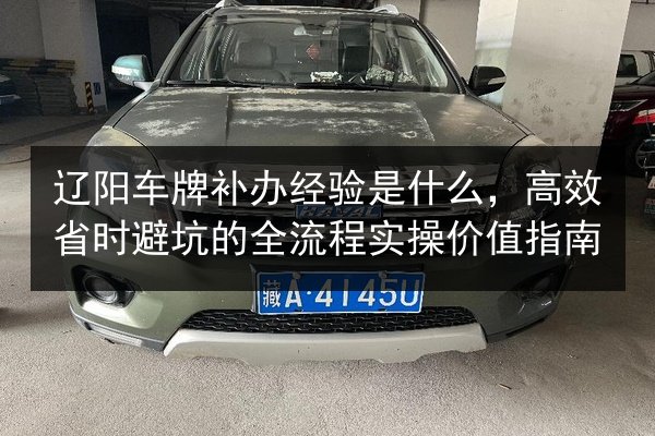 辽阳车牌补办经验是什么，高效省时避坑的全流程实操价值指南