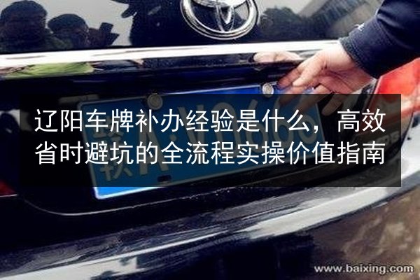 辽阳车牌补办经验是什么,高效省时避坑的全流程实操价值指南 第2张 辽阳车牌补办经验是什么,高效省时避坑的全流程实操价值指南 第2张