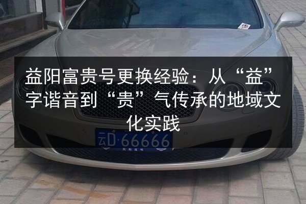 益阳富贵号更换经验：从“益”字谐音到“贵”气传承的地域文化实践