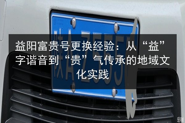 益阳富贵号更换经验：从“益”字谐音到“贵”气传承的地域文化实践 第2张