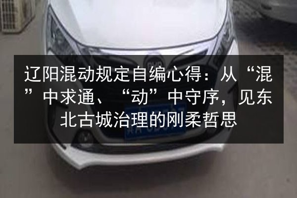 辽阳混动规定自编心得:从“混”中求通、“动”中守序,见东北古城治理的刚柔哲思 第2张 辽阳混动规定自编心得:从“混”中求通、“动”中守序,见东北古城治理的刚柔哲思 第2张