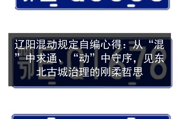 辽阳混动规定自编心得:从“混”中求通、“动”中守序,见东北古城治理的刚柔哲思 第3张 辽阳混动规定自编心得:从“混”中求通、“动”中守序,见东北古城治理的刚柔哲思 第3张