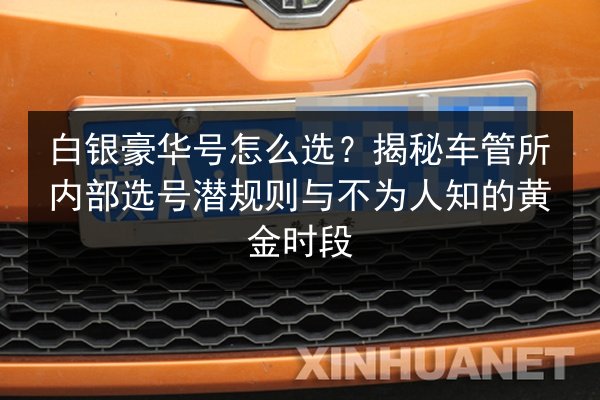 白银豪华号怎么选？揭秘车管所内部选号潜规则与不为人知的黄金时段 第2张