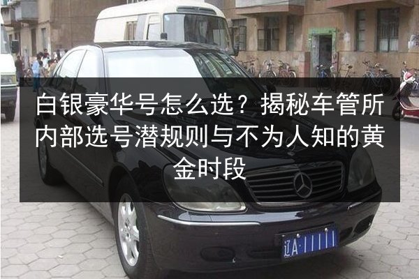 白银豪华号怎么选？揭秘车管所内部选号潜规则与不为人知的黄金时段 第3张
