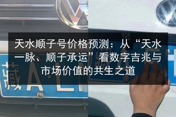 天水顺子号价格预测：从“天水一脉、顺子承运”看数字吉兆与市场价值的共生之道 第3张