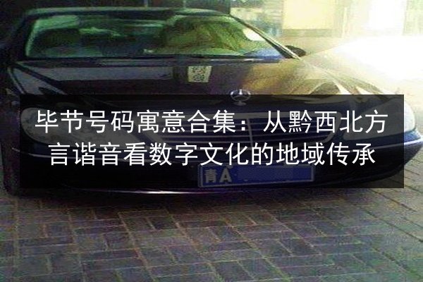 毕节号码寓意合集:从黔西北方言谐音看数字文化的地域传承 第3张 毕节号码寓意合集:从黔西北方言谐音看数字文化的地域传承 第3张