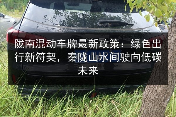 陇南混动车牌最新政策:绿色出行新符契,秦陇山水间驶向低碳未来 第2张 陇南混动车牌最新政策:绿色出行新符契,秦陇山水间驶向低碳未来 第2张