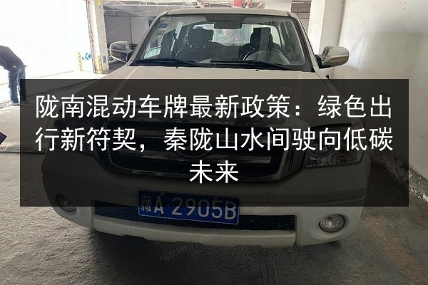 陇南混动车牌最新政策:绿色出行新符契,秦陇山水间驶向低碳未来 第3张 陇南混动车牌最新政策:绿色出行新符契,秦陇山水间驶向低碳未来 第3张