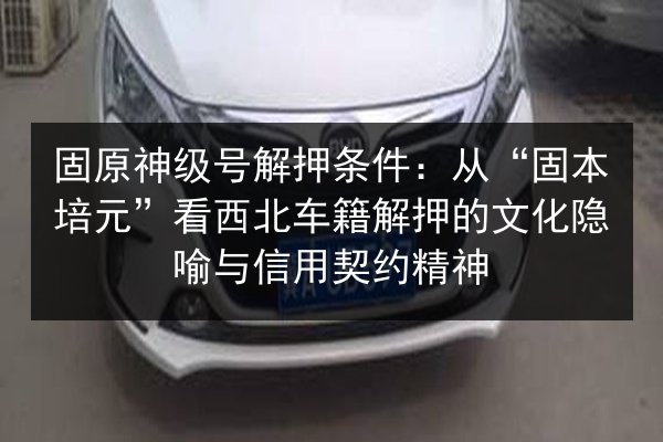 固原神级号解押条件:从“固本培元”看西北车籍解押的文化隐喻与信用契约精神 第3张 固原神级号解押条件:从“固本培元”看西北车籍解押的文化隐喻与信用契约精神 第3张