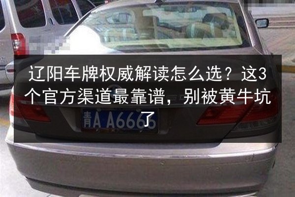 辽阳车牌权威解读怎么选？这3个官方渠道最靠谱，别被黄牛坑了