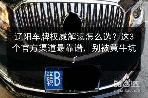 辽阳车牌权威解读怎么选?这3个官方渠道最靠谱,别被黄牛坑了 第2张 辽阳车牌权威解读怎么选?这3个官方渠道最靠谱,别被黄牛坑了 第2张