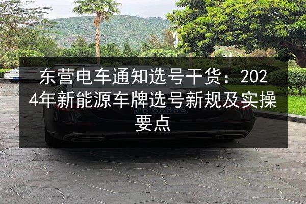 东营电车通知选号干货：2024年新能源车牌选号新规及实操要点 第2张