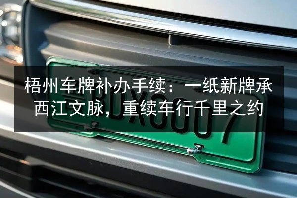 梧州车牌补办手续：一纸新牌承西江文脉，重续车行千里之约 第2张