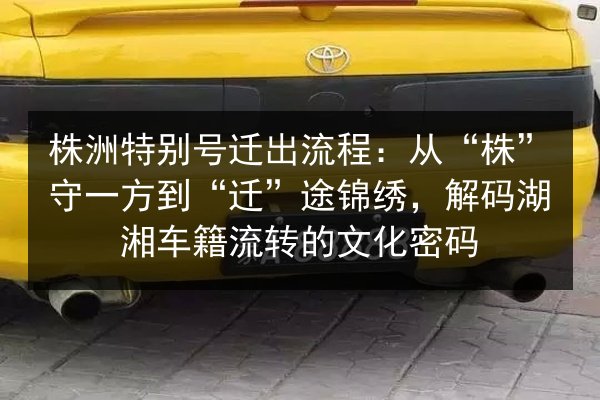 株洲特别号迁出流程:从“株”守一方到“迁”途锦绣,解码湖湘车籍流转的文化密码 第3张 株洲特别号迁出流程:从“株”守一方到“迁”途锦绣,解码湖湘车籍流转的文化密码 第3张