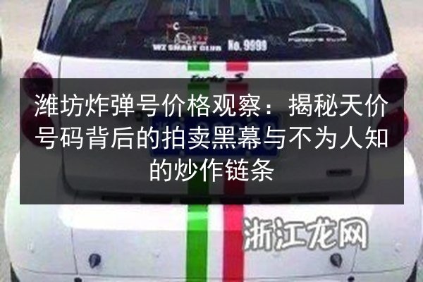 潍坊炸弹号价格观察:揭秘天价号码背后的拍卖黑幕与不为人知的炒作链条 第2张 潍坊炸弹号价格观察:揭秘天价号码背后的拍卖黑幕与不为人知的炒作链条 第2张