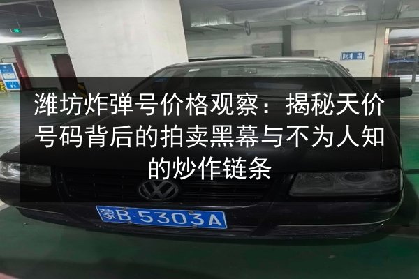 潍坊炸弹号价格观察:揭秘天价号码背后的拍卖黑幕与不为人知的炒作链条 第3张 潍坊炸弹号价格观察:揭秘天价号码背后的拍卖黑幕与不为人知的炒作链条 第3张