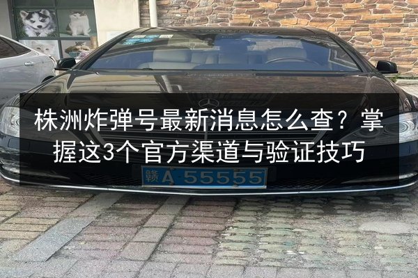 株洲炸弹号最新消息怎么查？掌握这3个官方渠道与验证技巧 第1张