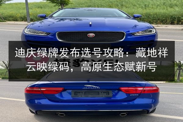 迪庆绿牌发布选号攻略：藏地祥云映绿码，高原生态赋新号