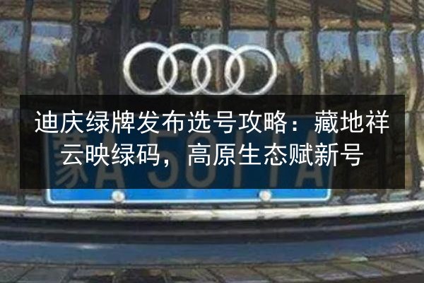 迪庆绿牌发布选号攻略：藏地祥云映绿码，高原生态赋新号 第2张