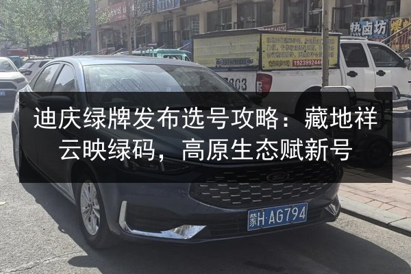 迪庆绿牌发布选号攻略：藏地祥云映绿码，高原生态赋新号 第3张