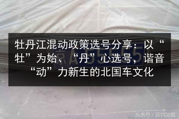 牡丹江混动政策选号分享：以“牡”为始、“丹”心选号，谐音“动”力新生的北国车文化