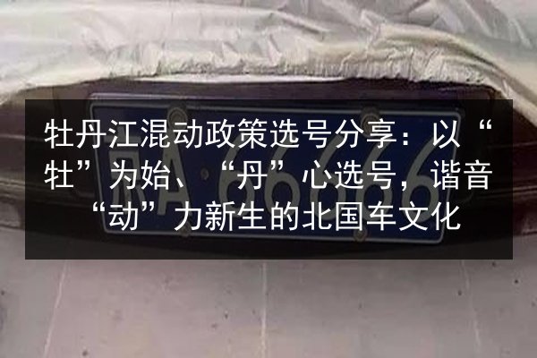 牡丹江混动政策选号分享:以“牡”为始、“丹”心选号,谐音“动”力新生的北国车文化 第2张 牡丹江混动政策选号分享:以“牡”为始、“丹”心选号,谐音“动”力新生的北国车文化 第2张
