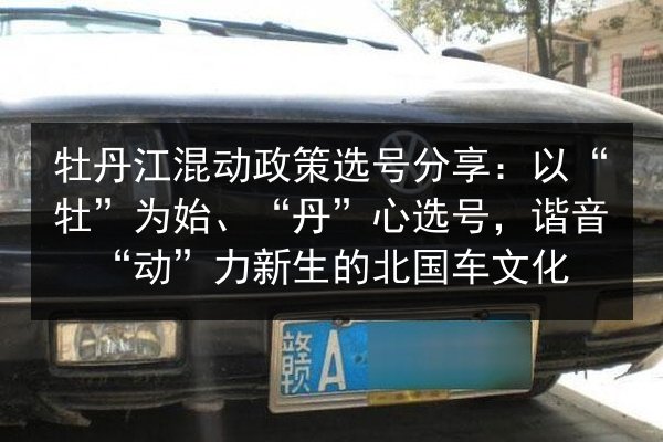 牡丹江混动政策选号分享:以“牡”为始、“丹”心选号,谐音“动”力新生的北国车文化 第3张 牡丹江混动政策选号分享:以“牡”为始、“丹”心选号,谐音“动”力新生的北国车文化 第3张