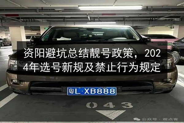 资阳避坑总结靓号政策，2024年选号新规及禁止行为规定
