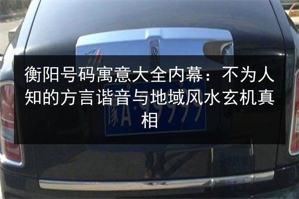 衡阳号码寓意大全内幕：不为人知的方言谐音与地域风水玄机真相 第1张