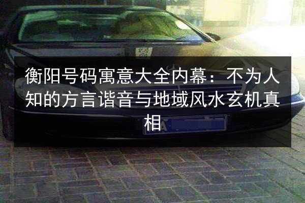 衡阳号码寓意大全内幕：不为人知的方言谐音与地域风水玄机真相 第2张