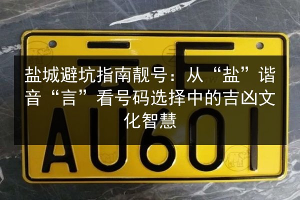 盐城避坑指南靓号：从“盐”谐音“言”看号码选择中的吉凶文化智慧 第2张