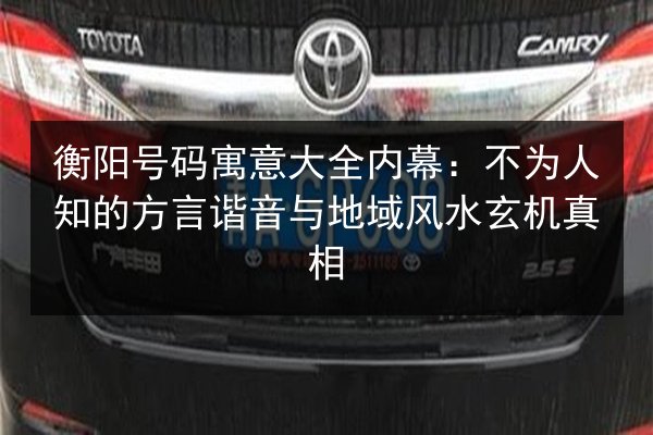 衡阳号码寓意大全内幕：不为人知的方言谐音与地域风水玄机真相 第3张