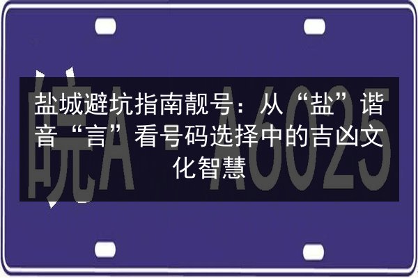 盐城避坑指南靓号：从“盐”谐音“言”看号码选择中的吉凶文化智慧 第3张