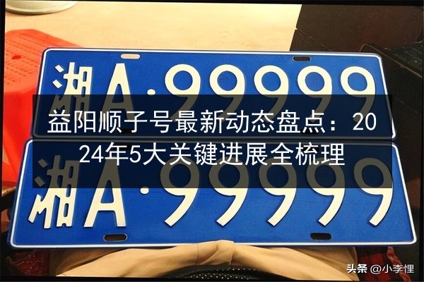 益阳顺子号最新动态盘点：2024年5大关键进展全梳理 第3张