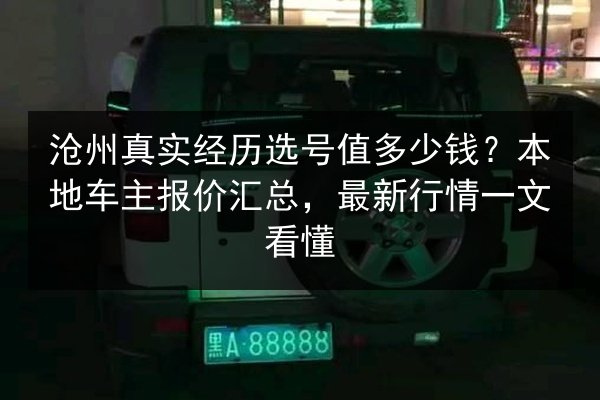 沧州真实经历选号值多少钱？本地车主报价汇总，最新行情一文看懂 第2张