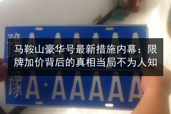 马鞍山豪华号最新措施内幕：限牌加价背后的真相当局不为人知 第2张