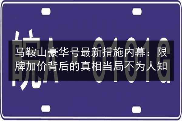 马鞍山豪华号最新措施内幕：限牌加价背后的真相当局不为人知 第3张