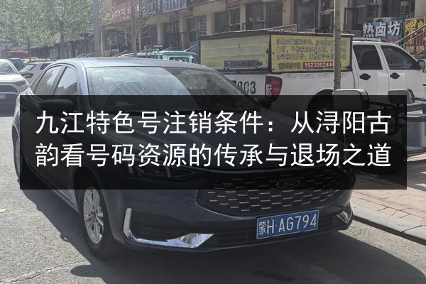 九江特色号注销条件：从浔阳古韵看号码资源的传承与退场之道 第2张
