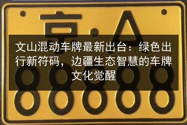 文山混动车牌最新出台:绿色出行新符码,边疆生态智慧的车牌文化觉醒 第2张 文山混动车牌最新出台:绿色出行新符码,边疆生态智慧的车牌文化觉醒 第2张