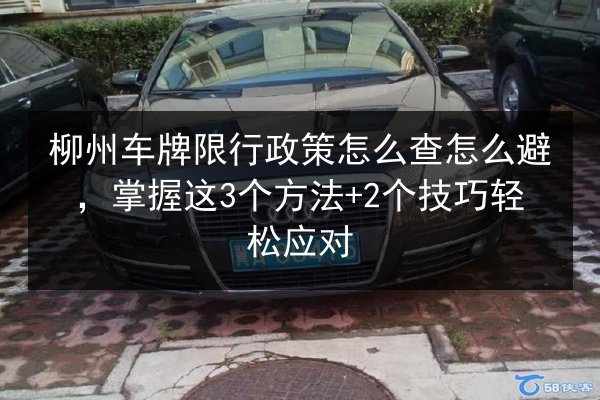 柳州车牌限行政策怎么查怎么避，掌握这3个方法+2个技巧轻松应对 第2张
