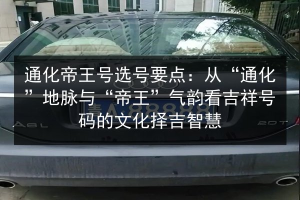 通化帝王号选号要点：从“通化”地脉与“帝王”气韵看吉祥号码的文化择吉智慧 第3张