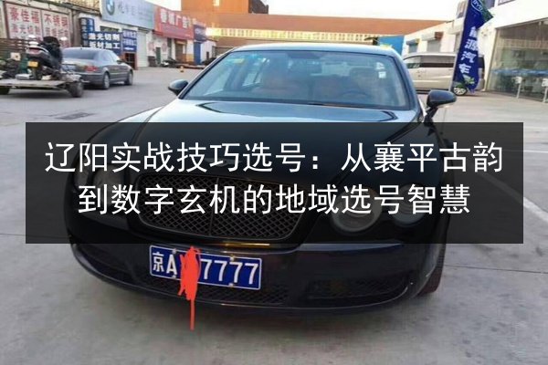 辽阳实战技巧选号:从襄平古韵到数字玄机的地域选号智慧 第3张 辽阳实战技巧选号:从襄平古韵到数字玄机的地域选号智慧 第3张