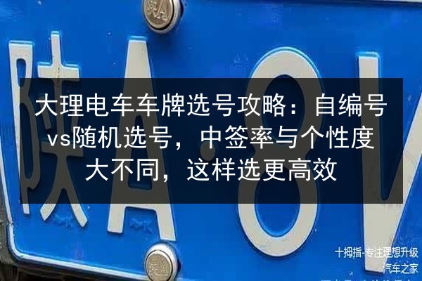大理电车车牌选号攻略：自编号vs随机选号，中签率与个性度大不同，这样选更高效