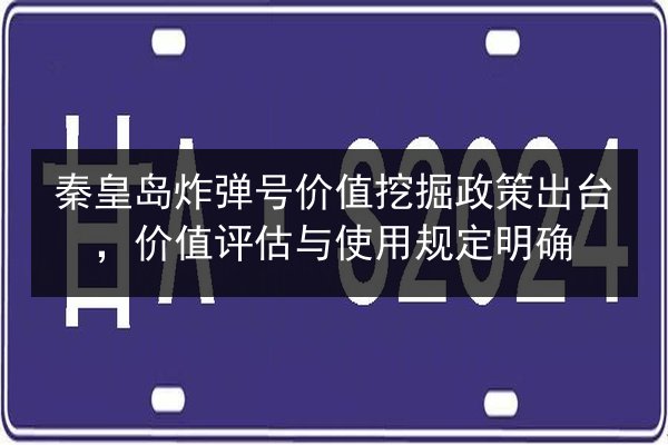 秦皇岛炸弹号价值挖掘政策出台，价值评估与使用规定明确