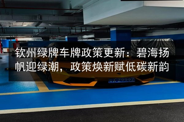 钦州绿牌车牌政策更新：碧海扬帆迎绿潮，政策焕新赋低碳新韵 第2张