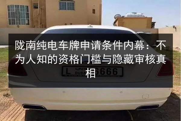 陇南纯电车牌申请条件内幕：不为人知的资格门槛与隐藏审核真相